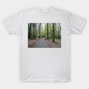 A forest trail T-Shirt